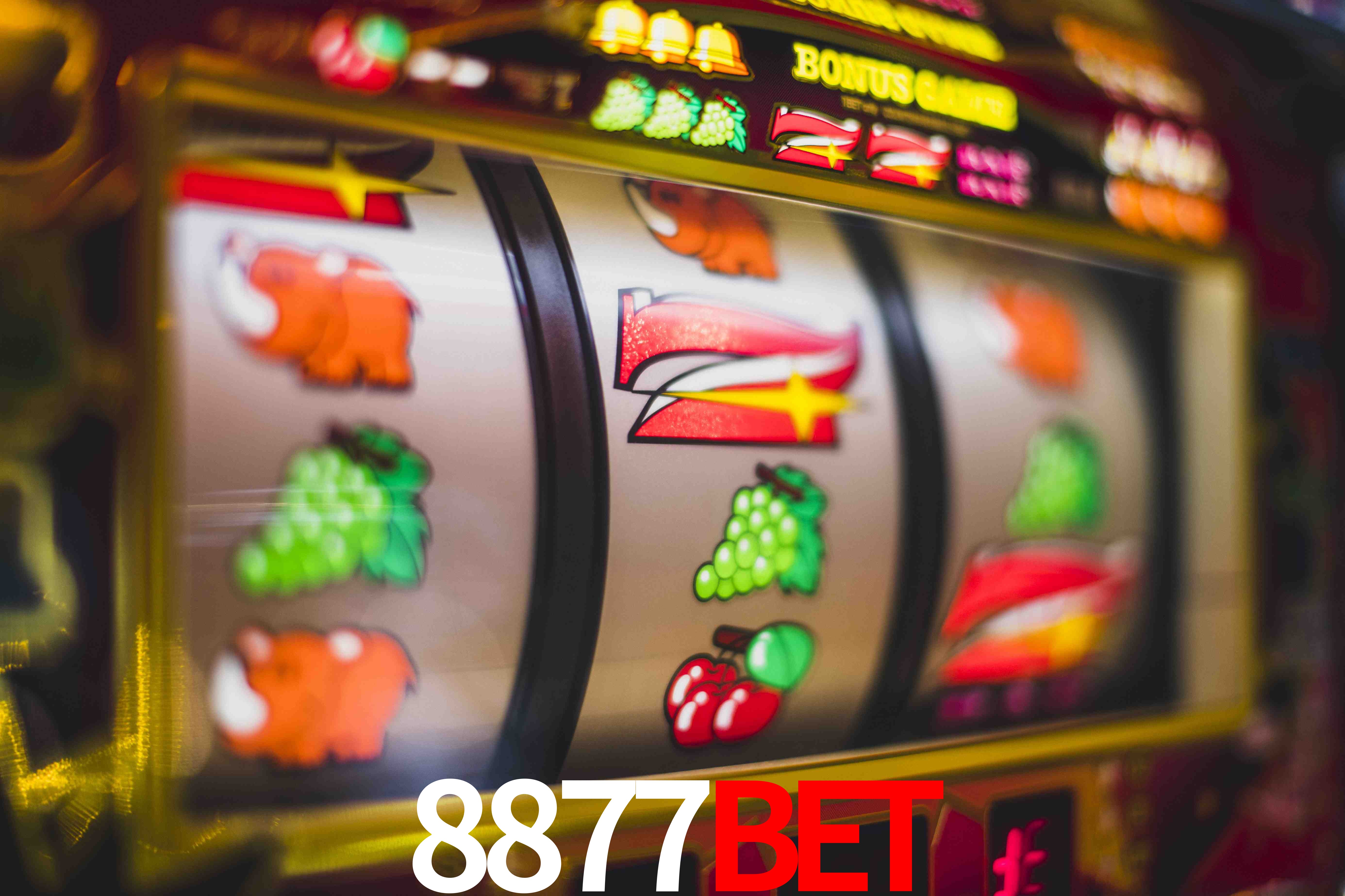 Experiência VIP 8877bet